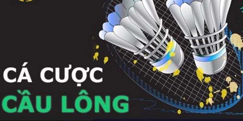 Cá cược thể thao 3 Cá cược thể thao tại OK365