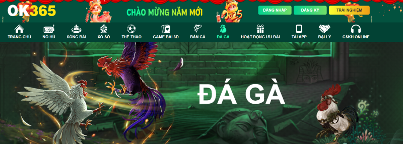 đá gà OK365